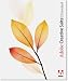 Adobe Creative Suite 2 (Mac)