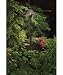 Kichler Lighting 15437TZT Pierced Scrollwork 1-Light 12-Volt Landscape Path & Spread Light, Textured Tannery Bronze