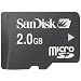 SanDisk 2GB microSD Memory Card (BULK Packaging)