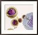 Diagram Illustrating Genetic Engineering for the Treatment of Immune Diseases Framed Photographic Poster Print by Jane Hurd, 24x22