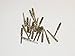terminals Deutsch OEM MALE Solid DT CONNECTORS 0460-215-16141 14ga Cat Harley (10 PACK)