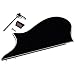 Golden Gate M-401A F-Model Mandolin Pickguard Assembly - Black/White/Black