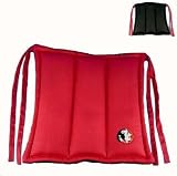 Florida State Seminoles Chair Cushion