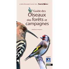 Guide des oiseaux des forets et campagnes