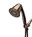 Tools & Hardware : Oxygenics 84227 TriSpa Handheld Shower, Oil Rubbed Bronze