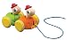 Wonderworld Pull-Along Tortoise