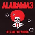 Hits and Exit Wounds