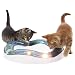 Catit Senses Speed Circuit