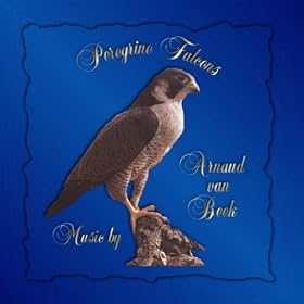 Peregrine Falcons