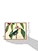 Audubon Warblers Keepsake Box