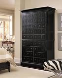 Beau Nouveau Armoire Noir