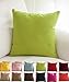 TangDepot Cotton Solid Throw Pillow Cover, 12 INCH x 12 INCH, Apple Green