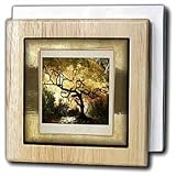 Susan Brown Designs Nature Themes - Bonsai Japanese Maple - Tile Napkin Holders