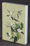 Pomegranate Audubon Birds Stationery Set (Pack of 2)