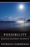 Possibility: Essays Against Despair