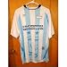 2010 SOUTH AFRICA WORLD CUP drako mens argentina soccer jersey size large type#8