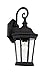 Trans Globe Lighting 40400 BK Westfield Outdoor Black Traditional Wall Lantern, 16"