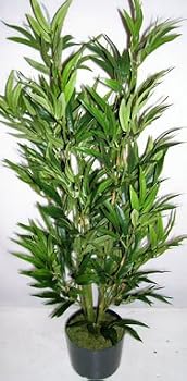 3' Bamboo Floor Plant