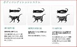 ピュリナ ワン キャット インドアキャット サーモン1~10歳 2kg