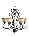 World Imports 2624-24 Olympus Tradition 6 Light Chandelier, Crackled Bronze with Silver