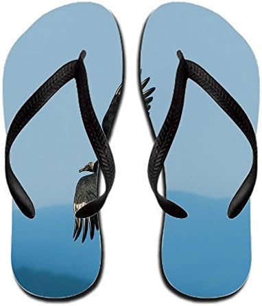 Orlaston Animal Vulture Colorful 8 B(m) Us Flip Flop Rubber Men