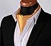 SetSense Men's Polka Dot Jacquard Woven Self Cravat Tie Ascot