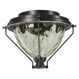 IMAGE OF Quorum 1376-895 Adirondacks - One Light Kit, Old World Finish