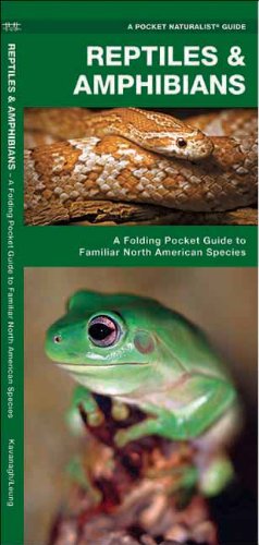 Reptiles & Amphibians: A Folding Pocket Guide to Familiar North American Species (Pocket Naturalist Guide Series)