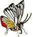 Jezebel Butterfly Wooden Model