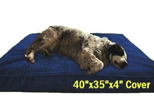 XL 40