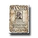 Weimaraner Wanted Poster Fridge Magnet