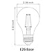 LED2020 LED Filament Bulb A19 Soft White (2700 K) 6W to Replace Inandescent Bulb 50W
