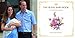 The Royal Baby Book: A Souvenir Album