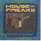 BOTTOM OF THE OCEAN 7 INCH (7" 45) US RHINO 1987