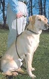 Mendota Ez Trainer Leash 1/2 x 8 Hunter Green 41WnPN67drL. SL160 Mendota Ez Trainer Leash 1/2 x 8 Hunter Green