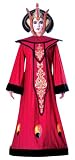 Adult Queen Amidala Costume