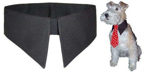 Calvin K-nine Black Shirt Collar for Dogs Large