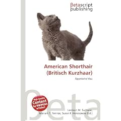 American Shorthair (Britisch Kurzhaar)