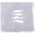 My Brightest Diamond - Shark Remixes