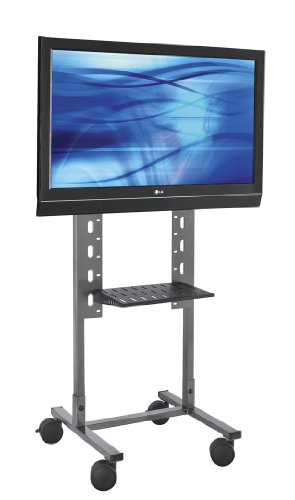 Avteq RPS-200 - Mobile Flat-Screen Stand