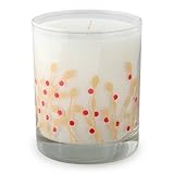 show Crash Zuz Design Winter Berries Soy Candle