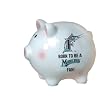 Florida Marlins Born to be a Fan Piggy Bank