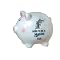 Florida Marlins Born to be a Fan Piggy Bank