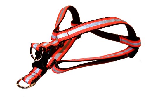 Medium Reflective Orange