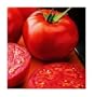 New Yorker Tomato 35 Seeds - Bush Beefsteak Type