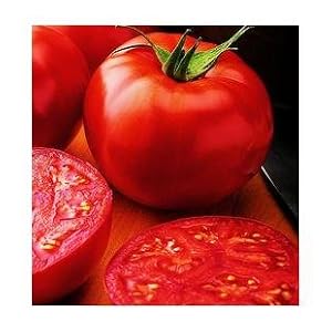 New Yorker Tomato 35 Seeds - Bush Beefsteak Type