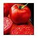 New Yorker Tomato 35 Seeds - Bush Beefsteak Type