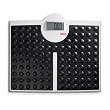 Seca Robusta 813 High Capacity Digital Floor Scale Seca Robusta 813 High Capacity Digital Floor Scale