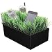 GRASS CHARGING VALET
