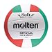 Molten Volleyball - 5, White/Red/Green